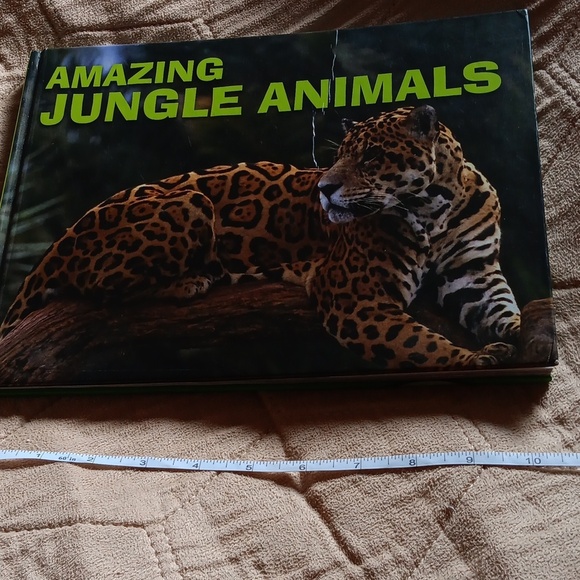 Amazing jungle animals book - Picture 5 of 7